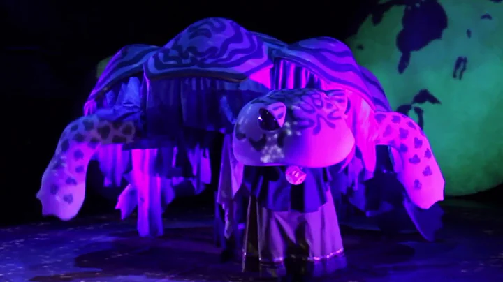 Trailer: "Ajijaak on Turtle Island" 2019