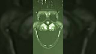 I Watched a FNAF VHS TAPE For The FIRST TIME…