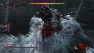 Sekiro All Bosses - No Damage