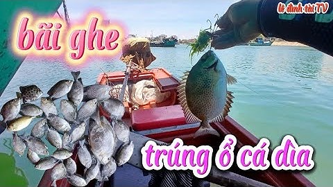 Tổ đãi trúng ổ! câu cá dìa bằng rường tự làm và mồi rong siêu nhạy ! câu cá giải trí! tài fishing !