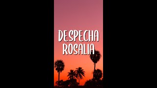 ROSALÍA - Despecha (Letra/Lyrics) Parte de TikTok #shorts