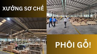 Thăm quan xưởng sơ chế phôi của doanh nghiệp nội thất xuất khẩu lớn nhất Quy Nhơn có gì?