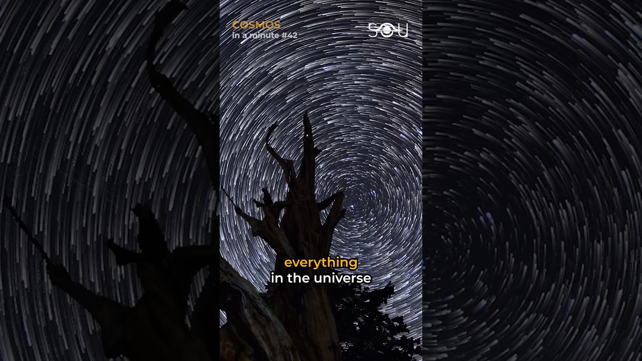 Theory of Everything | COSMOS in a minute #42