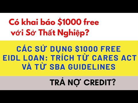 Có Khai Báo $1000 với sở thất nghiệp? SỬ DỤNG EIDL LOAN, EIDL GRANT $1000 free? Use of Funds | Foci