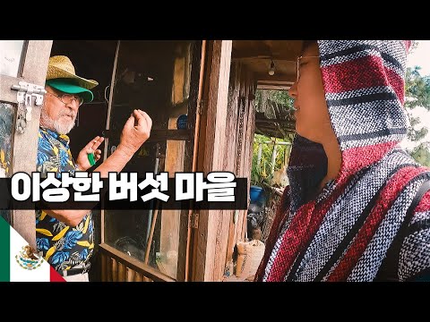 환각 버섯을 먹는 멕시코 마을 여행 【아메리카21】