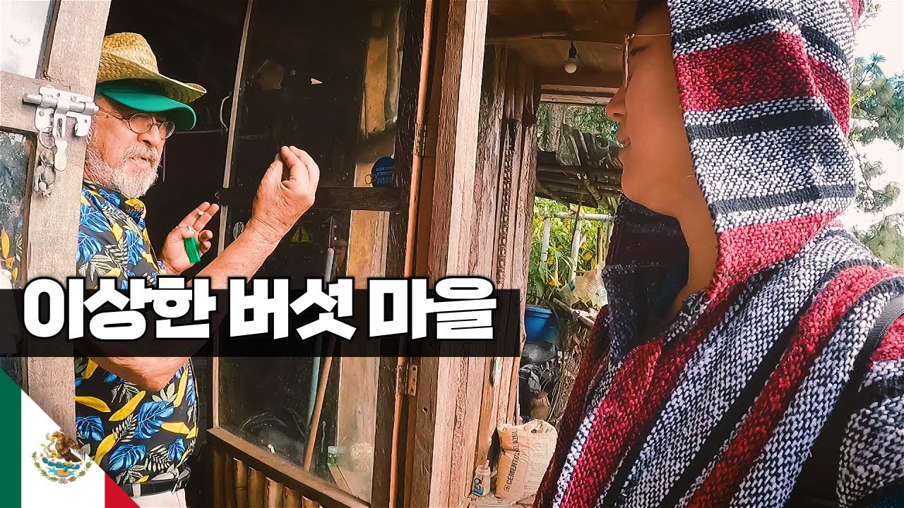 환각 버섯을 먹는 멕시코 마을 여행 【아메리카21】