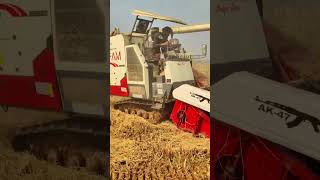 #gm #ricefarmer #agriculturalsystem #vairal #farming #farmingmethod #unfrezzmyaccount #farmingsystem