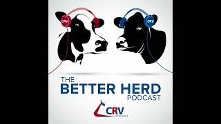 6. How BCS influences reproductive performance