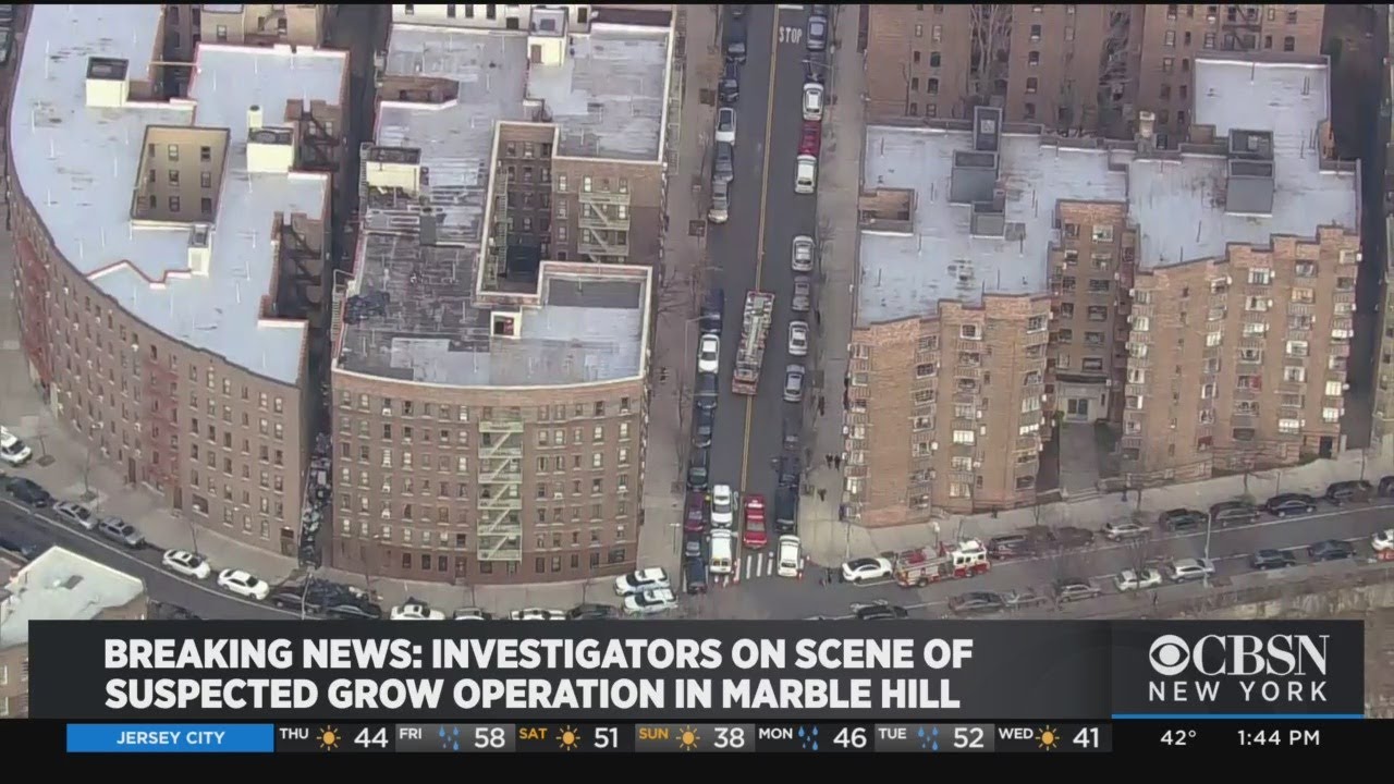 NYPD On Scene On Possible Marijuana Grow House In Bronx - YouTube