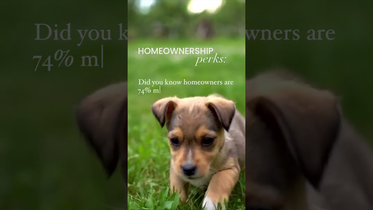 Did you know homeowners are 74% more likely to adopt a pet? 🏡🐾