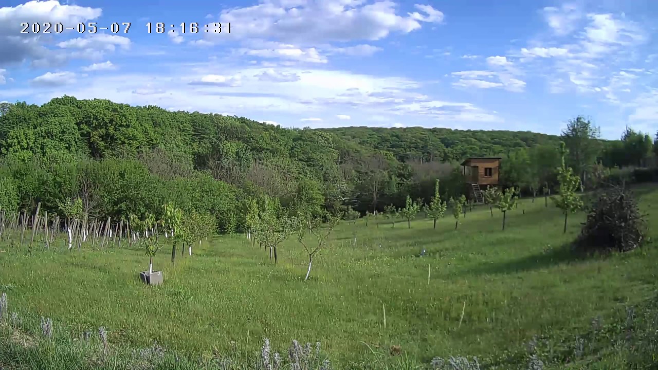 Heimvision HMD2  review: Phone sample