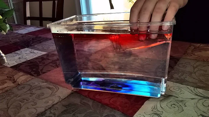 Danielle Schweitzer's Hot-vs-Cold Science Exp.