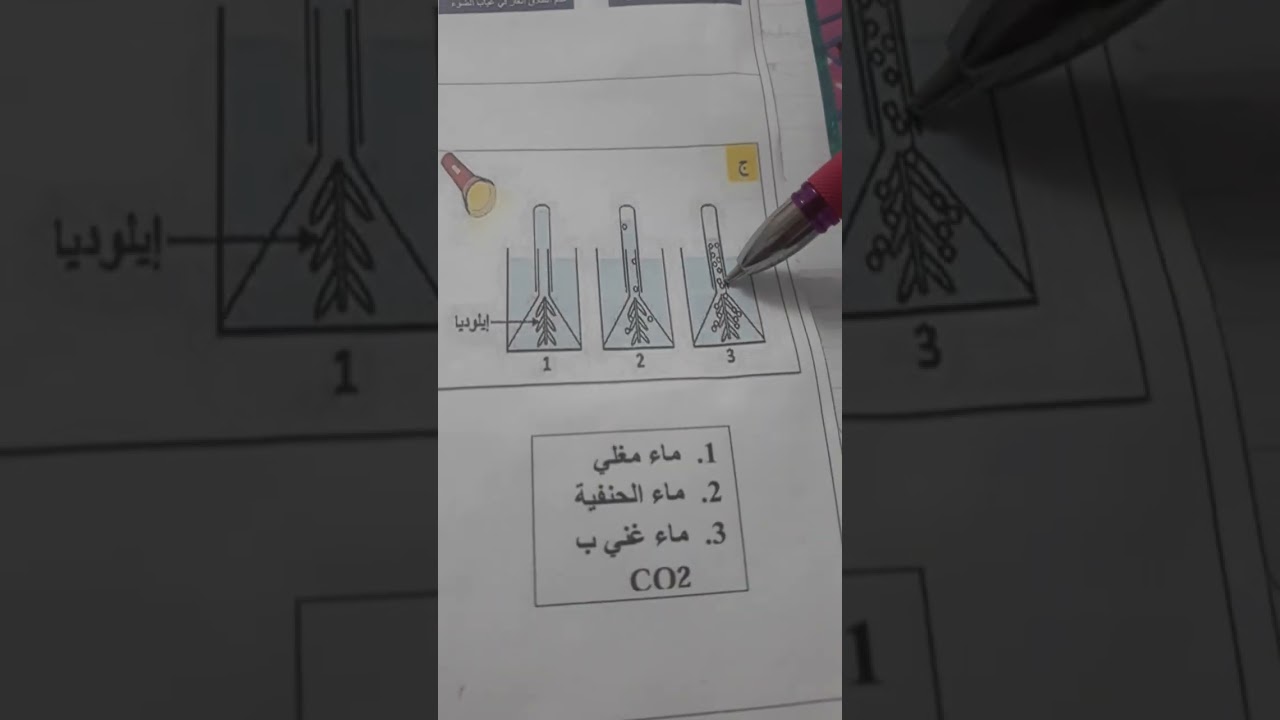 ملخص المبادلات الغازية اليخضورية علوم طبيعية وحياة لسنة أولى متوسط 