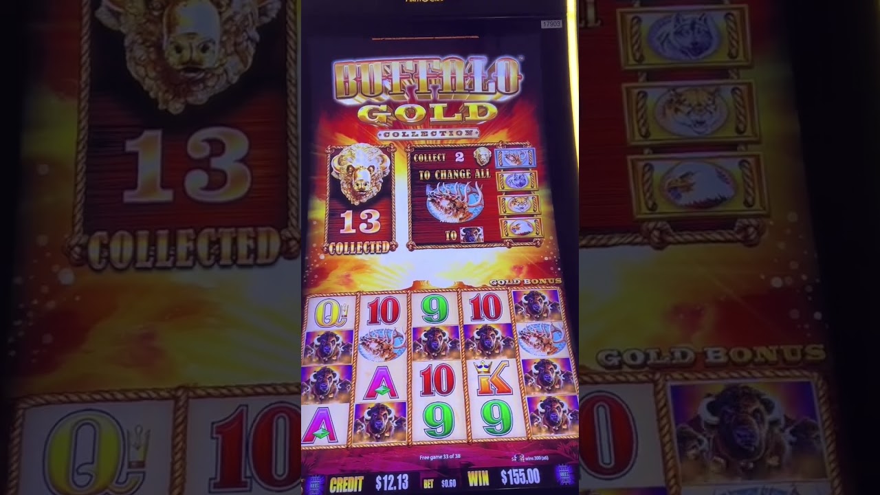 Buffalo Gold Collection my Bigwin