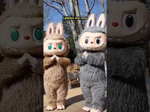 TAKE OFF Your SHOES to Get Labubu