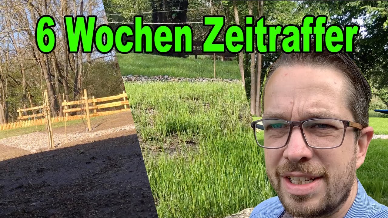 6 Wochen Rasen Zeitraffer ! Ich höre das Gras wachsen ! Natur Timelapse ! Natur erwacht ! tobiebel