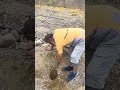 المشاركة في زراعة السدر ١٤٤٧هـ بلدة شيدة الصغوة