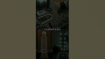 قرآن تلاوة هادئة #8 #تلاوات #تلاوة #تلاوة_خاشعة #قرآن #قران_كريم #اكتب_شي_تؤجر_عليه