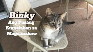 Binky: Ang Pusang Tumalo sa Magnanakaw