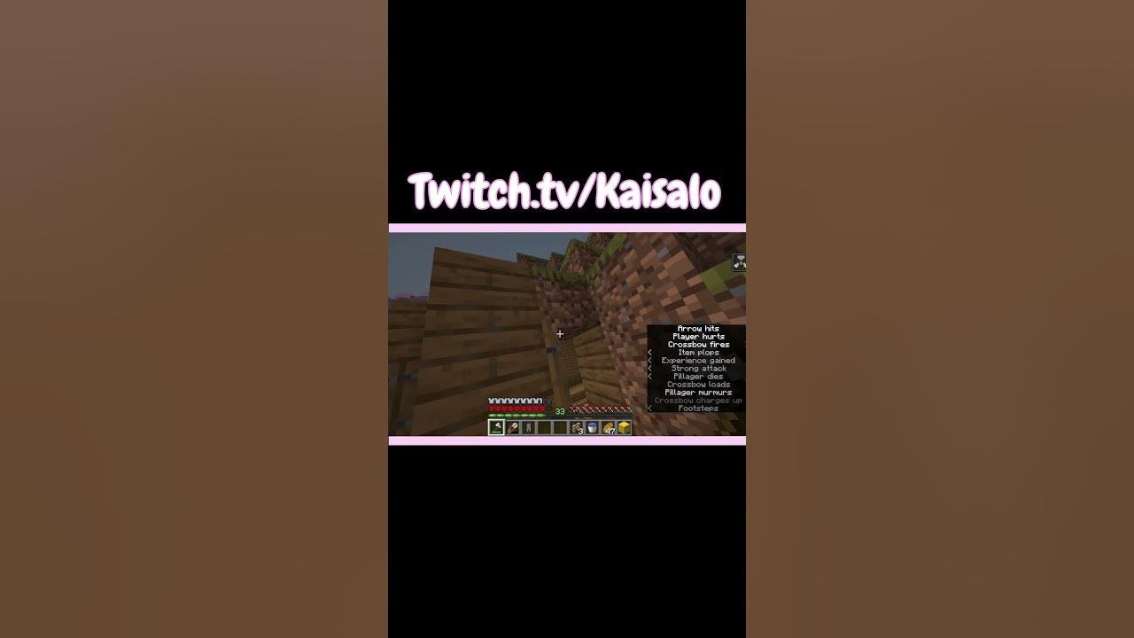 minecraft-get-these-pillagers-out-of-my-terf-youtube