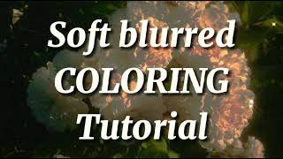 Soft blurred coloring tutorial (read desk) | Pxrple rose screenshot 1