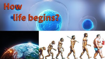 How life form from single cell ||  🤔 @Alearninglane