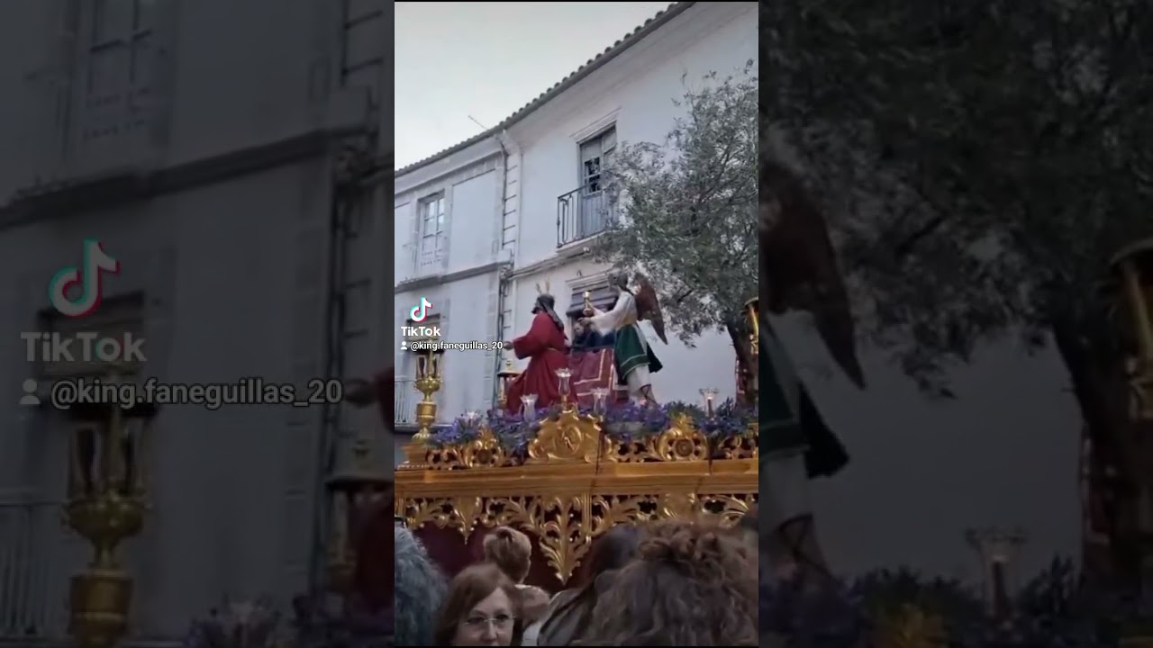 ¡Semana Santa 2025. Miércoles Santo, Oración de Jesús en el Huerto y María Santísima de la Amargura!