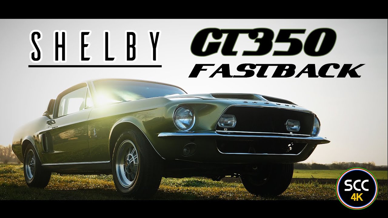 FORD MUSTANG SHELBY COBRA GT350 FASTBACK | 4K | GT 350 | 302CI V8 ENGINE SOUND | SCC TV