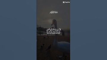تلاوة عطرة للشيخ سعد الغامدي ماتيسر من سورة طه