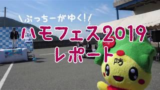ぶっちーがハモフェスに行ってきた Youtube
