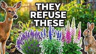 Plant These 15 Perennials That Deer & Rabbits REFUSE to Eat 🦌 Deer Will Starve Before Eating These 13 Stunning Flowers