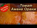 ТОМАТ АМАНА ОРАНЖ (лучшие сорта томатов)