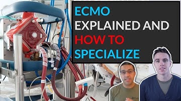 What is ECMO? The basics explained AND HOW YOU CAN SPECIALIZE AS A RESPIRATORY THERAPIST AND NURSE