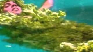 Steve O 'Feeding Amazonian Manatee in Lettuce Suit (Wildboyz in Brazil)