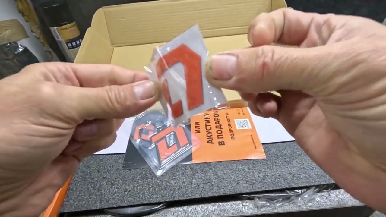 DL Audio ™ Phoenix Punch Machine 165