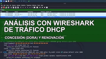 Análisis con Wireshark de tráfico DHCP