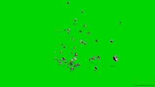 Debris Explosion At Camera - Green Screen - Free Use