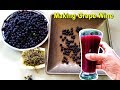 How To Make Grape Wine at Home | Homemade Red Wine Recipe | Craft Village