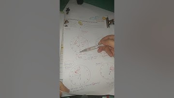 Get Smart plus 4 workbook year 4 page 51 (with notes)