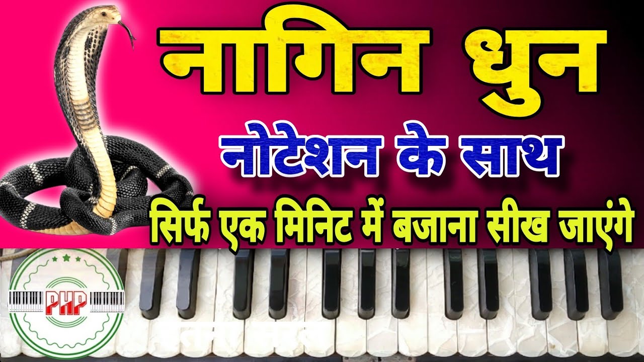 nagin dhun harmonium nagin dhun bajana sikhe nagin lehra harmonium