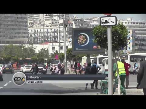 Amor Benamor Vous Souhaite Un Ramadan Kareem 