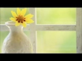 キレイでしょ/COLOR SUGAR
