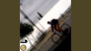 BS EL PERRO (FINAL)