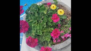 It"s Spring written by Jack Burris