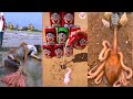 Catching Seafood 🦀🐙 ASMR Relaxing (Catch Shark , Catch Fish ,Deep Sea Monster ) - Tik Tok #339