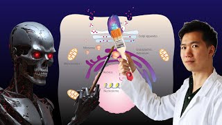 Can AI Make Scientific Illustrations?