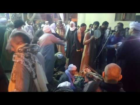 الشيخ ياسر وافى الامير طما 3