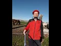 " Yippie Aye Yay " H4 #harmonica #horses #funny #humor #harmonicaplayer #entertainment