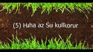 Toprak düzenleyici faydaları 0 553 313 83 84