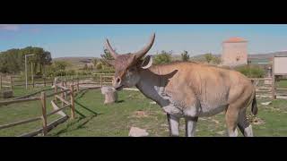 Ayto. El Pobo (Teruel) - Conoce el pueblo / dato360